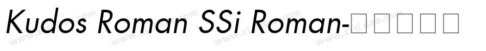 Kudos Roman SSi Roman字体转换